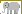 Elephants