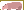 Hippos